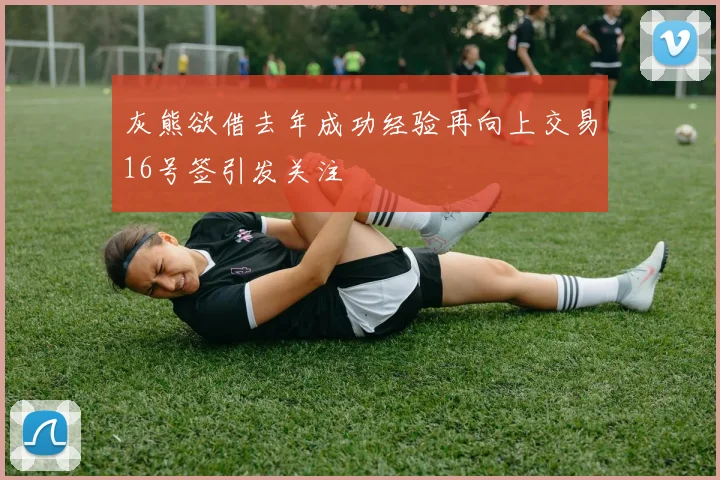 灰熊欲借去年成功经验再向上交易16号签引发关注