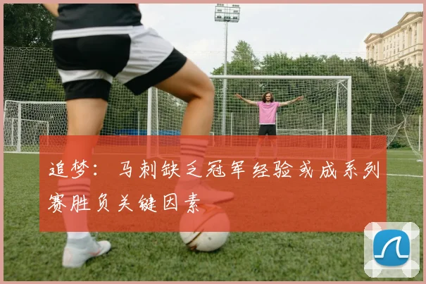 追梦：马刺缺乏冠军经验或成系列赛胜负关键因素